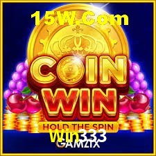 Game Providers Win333
